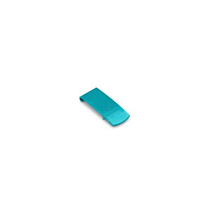 Cadii Clip Turquoise